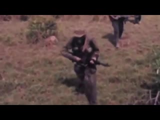 Special operations forces in vietnam