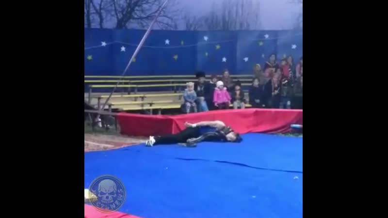 Питон молодые