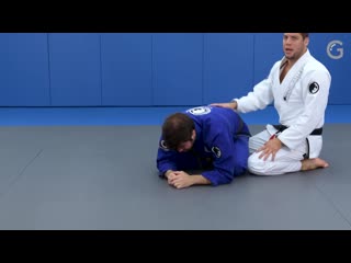 10 neiman gracie turtle to back variation