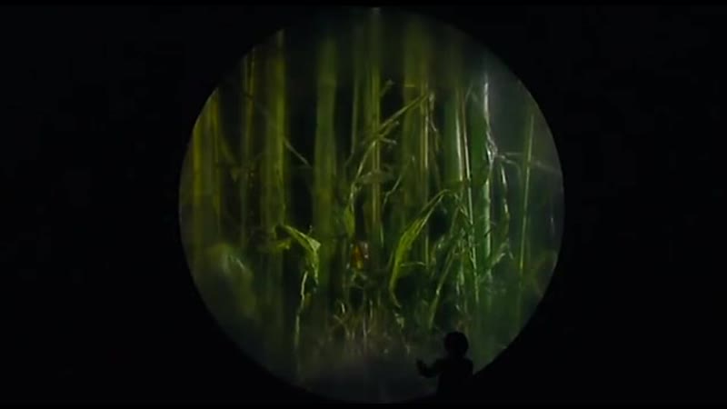 Romeo castellucci «purgatorio», 2008 (ромео кастеллуччи «чистилище»)