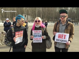 В москве зоозащитники потребовали расследовать массовый расстрел молодые в дагестане