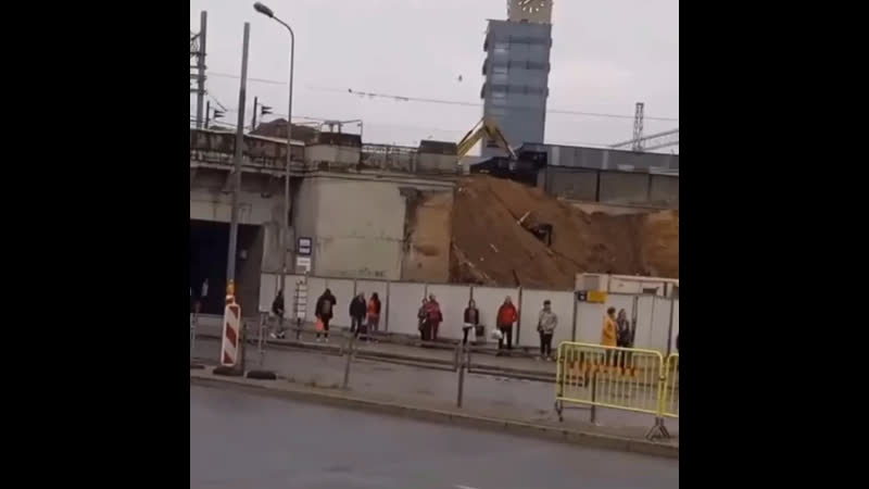 Обыкновенный рижский мухомор латвия цэ европа их нравы