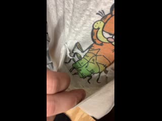 Carry me in your pouch, jon i’ve not yet evolved to my final form, jon