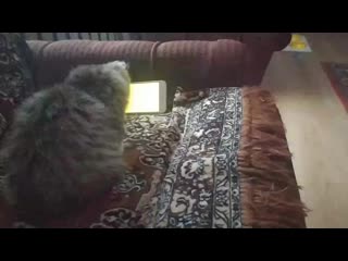 Vid 20201219 112712 mp4