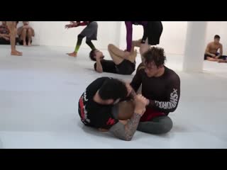 Love him or porn him, dillon danis has smooth jiu jitsu love him or sex him, dillon danis has smooth jiu jitsu