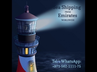 Ocean freight forwarder services