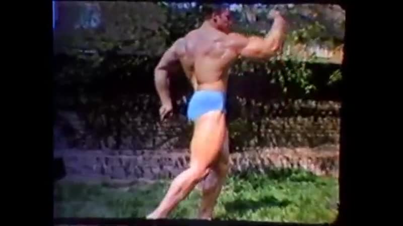 Молодой арни