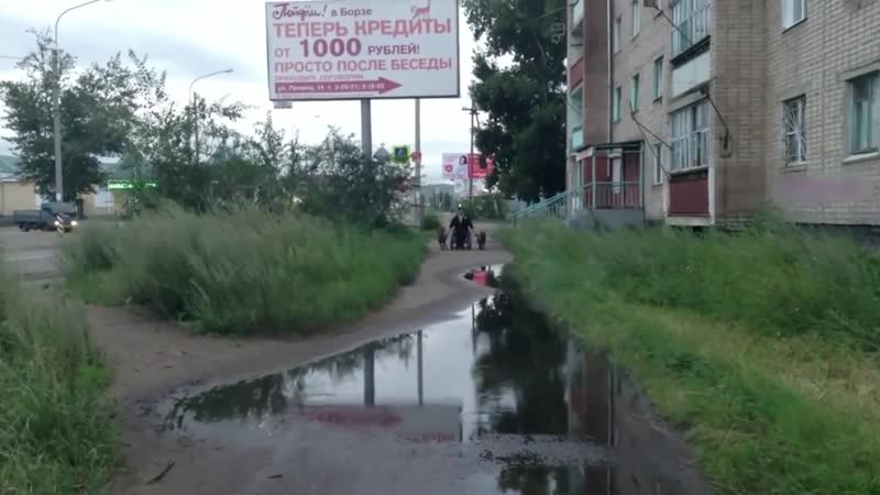 Скорость porn video – ×лютый офник×лютый набрал скорость×