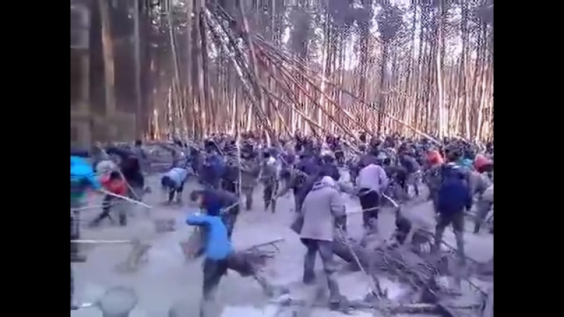 Клондайк набігло як мурах бурштин