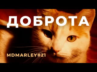 Доброта / метроном дедушки марли