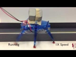 Lets all pull together team of μtug microrobots pulls a car