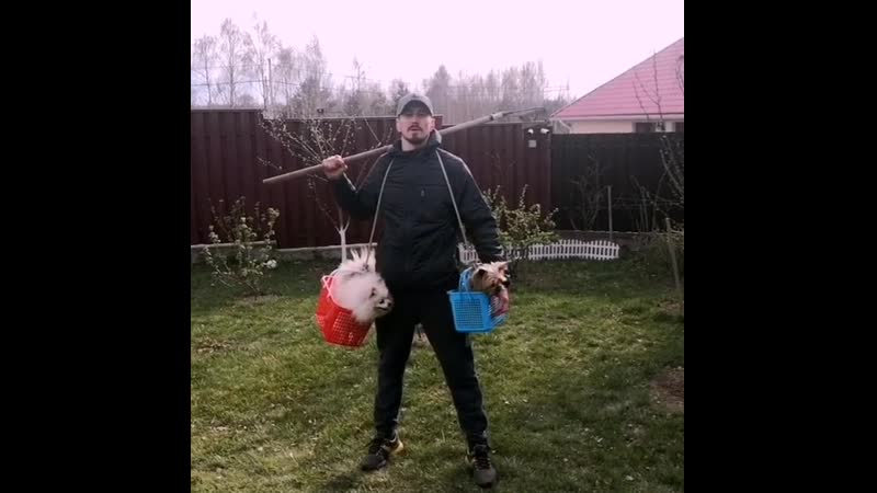 Віталь гуркоў троліць лукашэнку