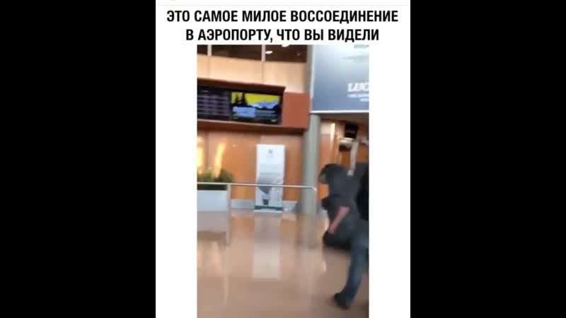 Chip key расплакался