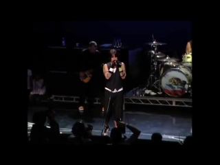 Red hot chili peppers and eddie vedder performance