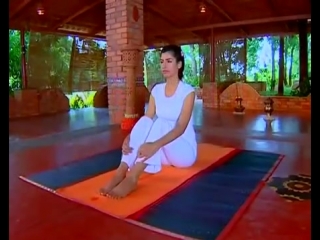 Ardha matsyendrasana (sitting half spinal twist) yoga pose