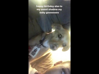 « happy b day to this beauty ♡»