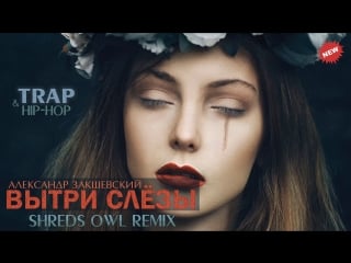 Александр закшевский вытри слёзы (shreds owl remix)