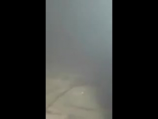 Ирак бульдозер vs шахидмобиль иг