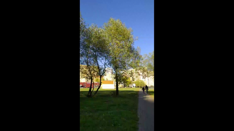 Live |ulas tuna astepe|улаш туна астепе|