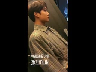Gucci zumi night kai