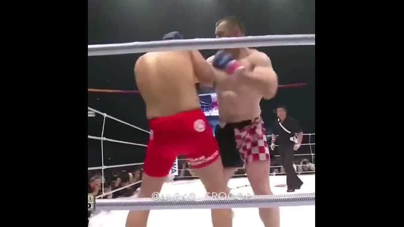 Легендарный хорват