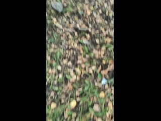 Vid 20201001 162609 mp4