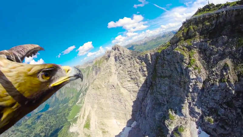 Вид на альпы с высоты птичьего полёта