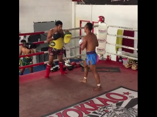 Saenchai muay thai