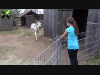 Трогательная встреча после долгого расставания