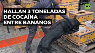 Incautan en italia porn videos - BEST XXX TUBE
