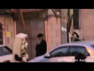 Таки стереотипы не врут (vhs video)