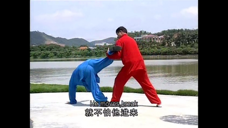 Применение син и цюань ba shi quan
