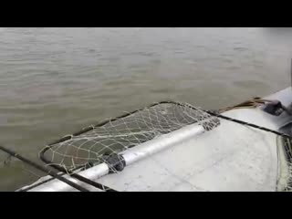 20201006 tomskiy lo ugroza ubiystvom m (1) mp4