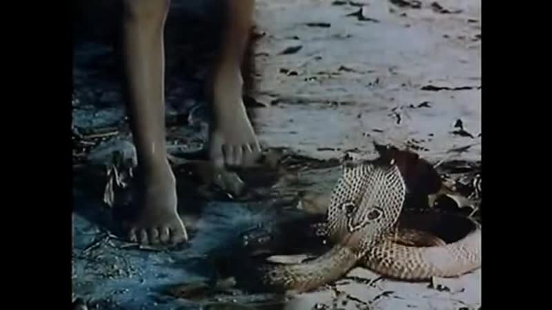 Волшебный бриллиант 2(1989г)