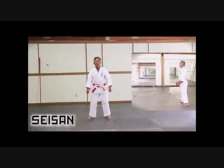 Isshinryu karate kata seisan master tsuyoshi uechi