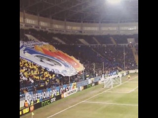 Чорноморець ліон