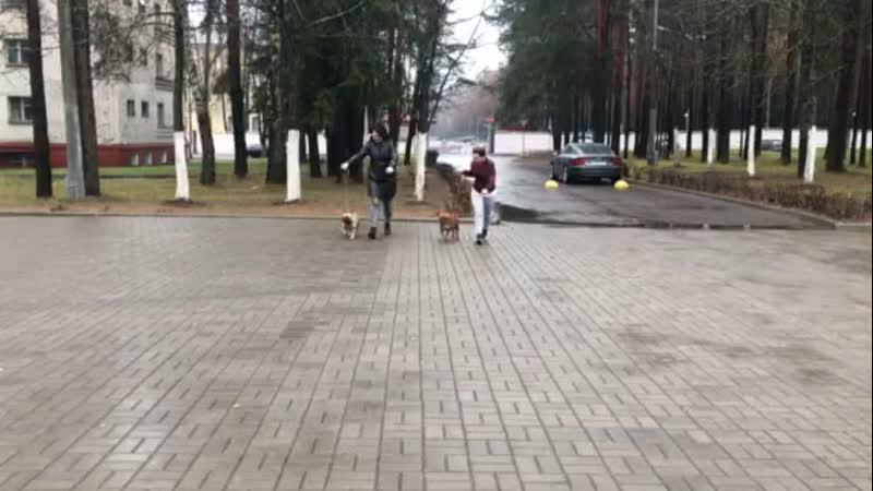 Ватрушка porn video – Групповая тренироа аля и ватрушка