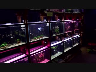 You won't believe this place isn't heaven german fish wholesaler