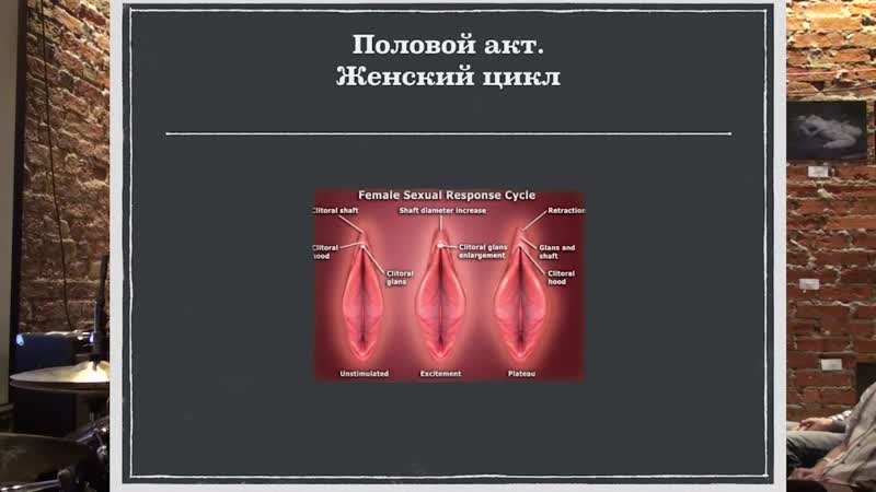 Женский оргазм анатомия и физиология дмитрий лубнин