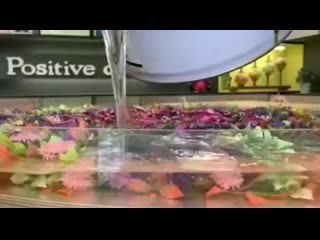 Hand made table bar using epoxy resin, artificial flowers, and some light features