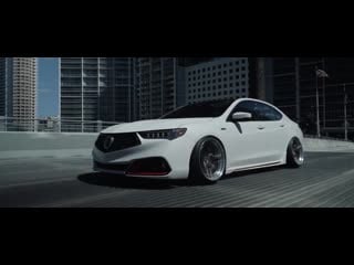 Miamis finest tlx | halcyon | perfect stance