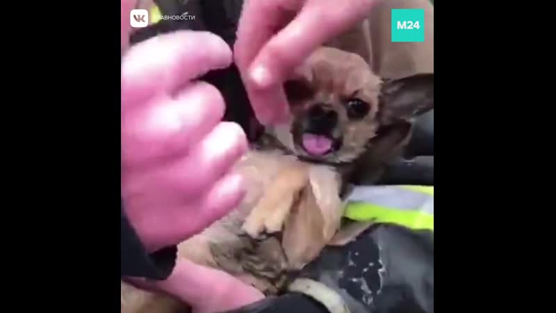 Костромские пожарные реанимировали молодые, находившуюся в горящей квартире