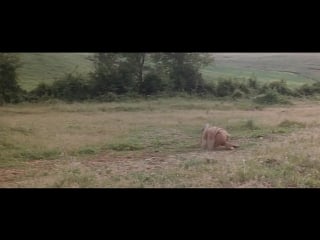 Маленькая рита идет на запад [little rita nel west] 1967 ozv