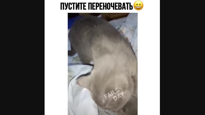 Пустите переночевать