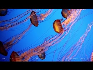 Viki & jull de costa video shot