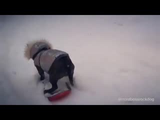 Fit bloger 20210217 154938 0 mp4