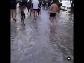 Koiw brat 20200504 015247 0 mp4