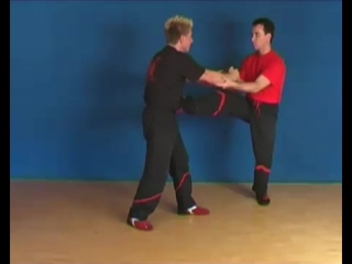 Dragos wing tsun bootcamp london 2011 impression on basics and technician