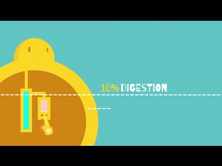 What is a calorie emma bryce