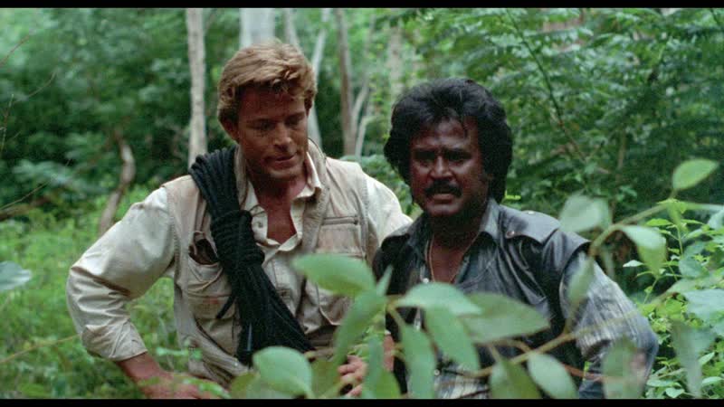 1988 молодые камень / bloodstone